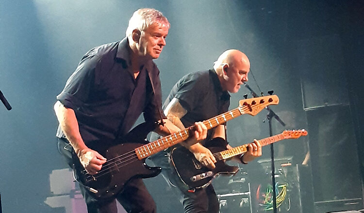 The Stranglers