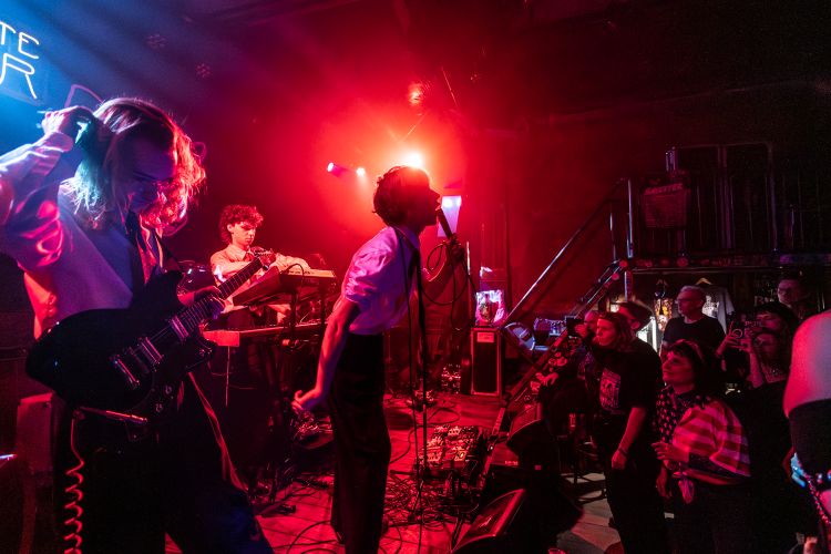 GrotegeelstaartGrauzone-Tineke Klamer-07-02-2026